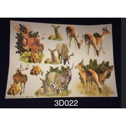 3D Embossed / Gilded...